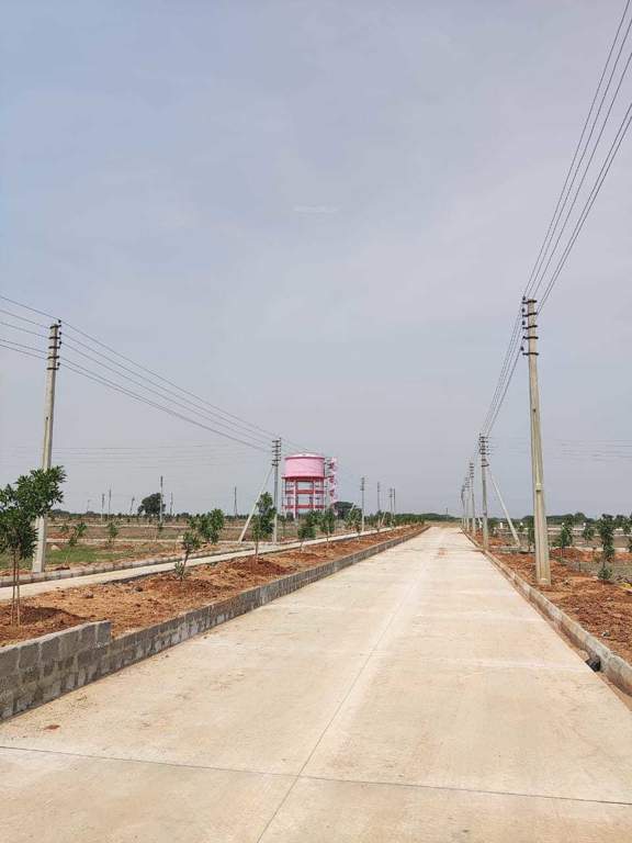  heights Plot