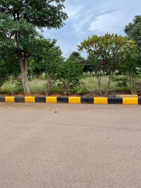  heights Plot