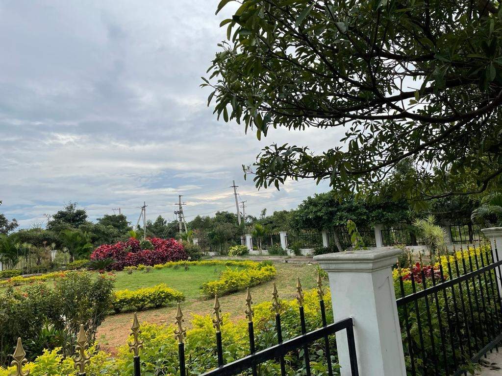  heights Plot