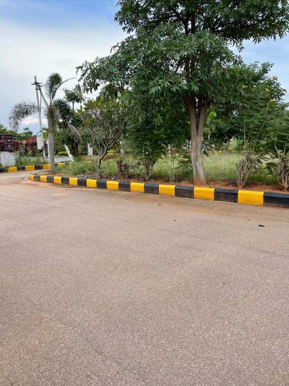 heights Plot
