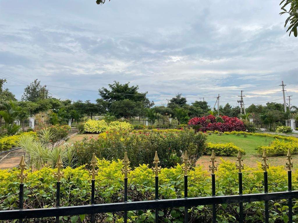  heights Plot