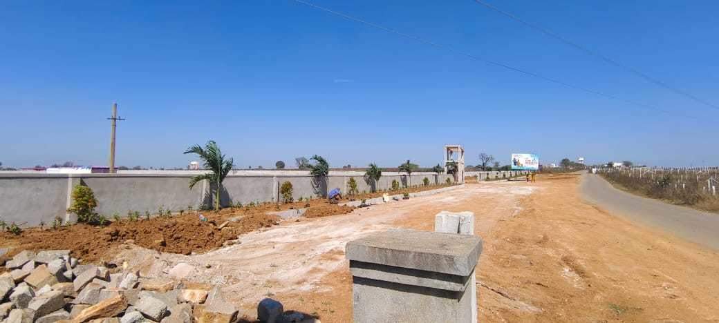  heights Plot