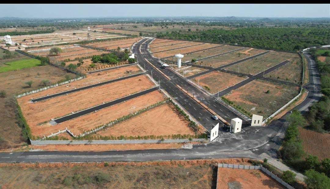  sannidhi ankura Plot
