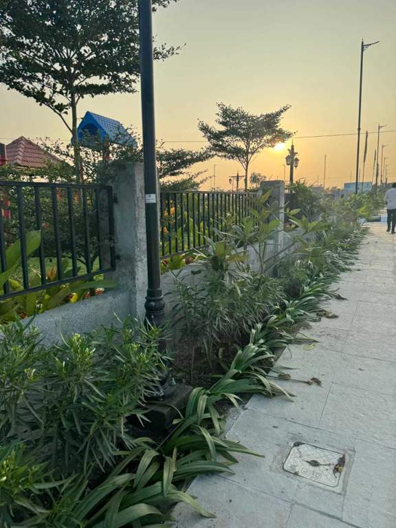  sannidhi ankura Plot