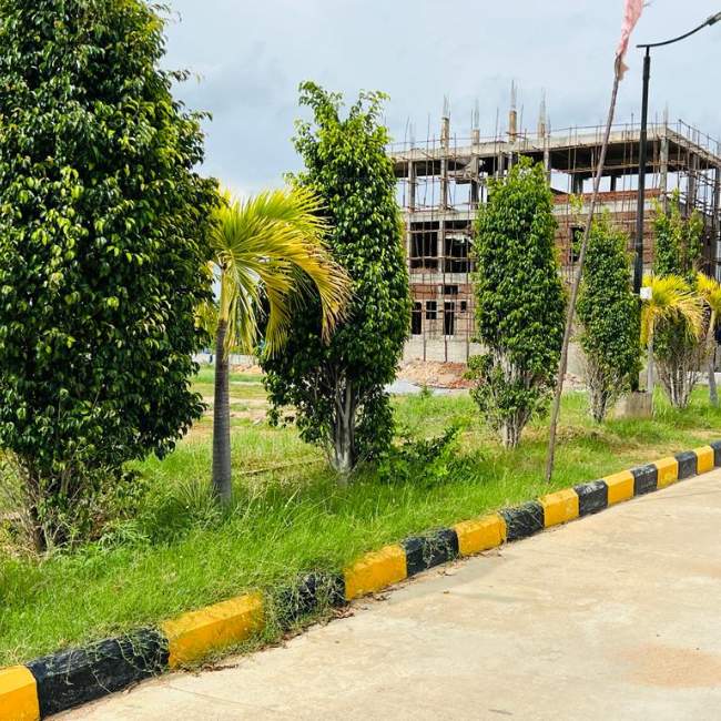  sannidhi ankura Plot