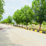  sannidhi-ankura Plot