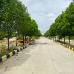  sannidhi-ankura Plot