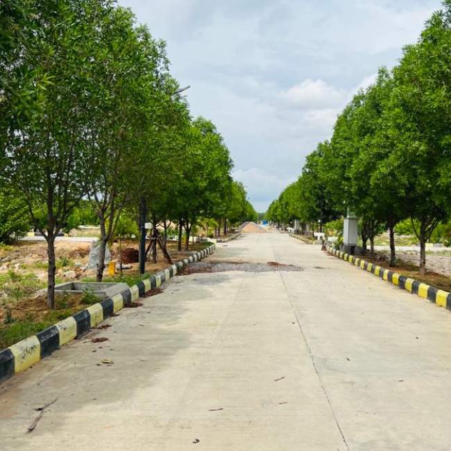  sannidhi ankura Plot