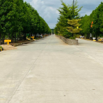  sannidhi-ankura Plot