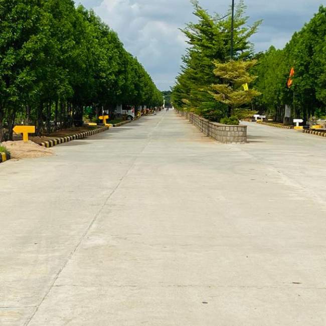  sannidhi ankura Plot