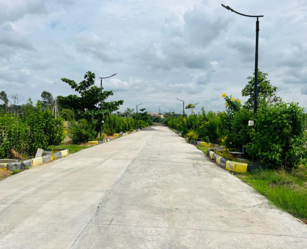  sannidhi-ankura Plot