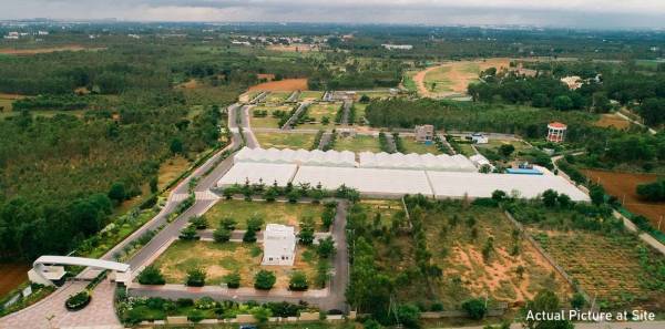  the-sanctuary-phase-iii Elevation