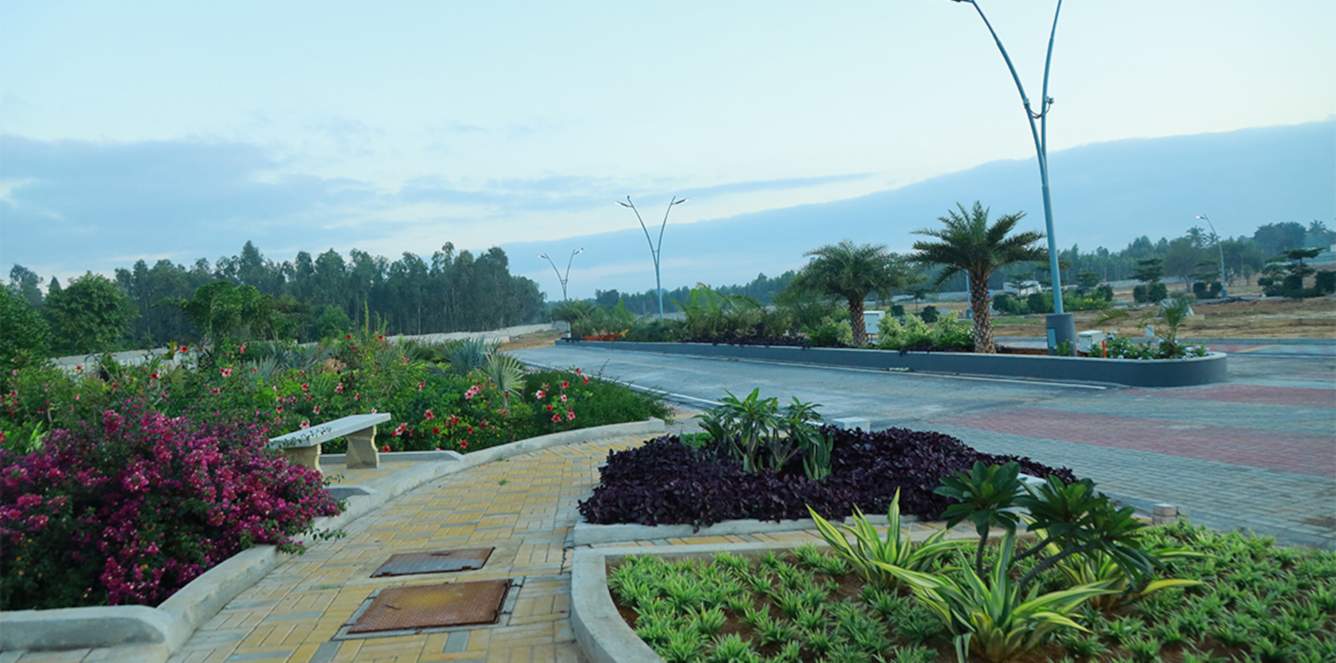  the sanctuary phase iii Landscape Garden and Tree Planting
