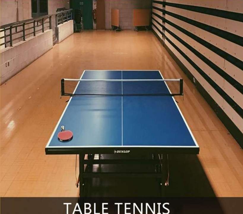  diadem Table Tennis