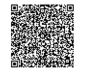 QR Image