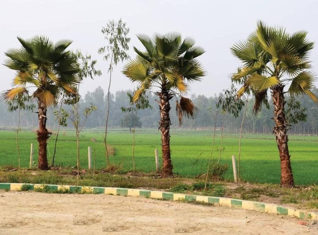  the villagio farmhouse Plot