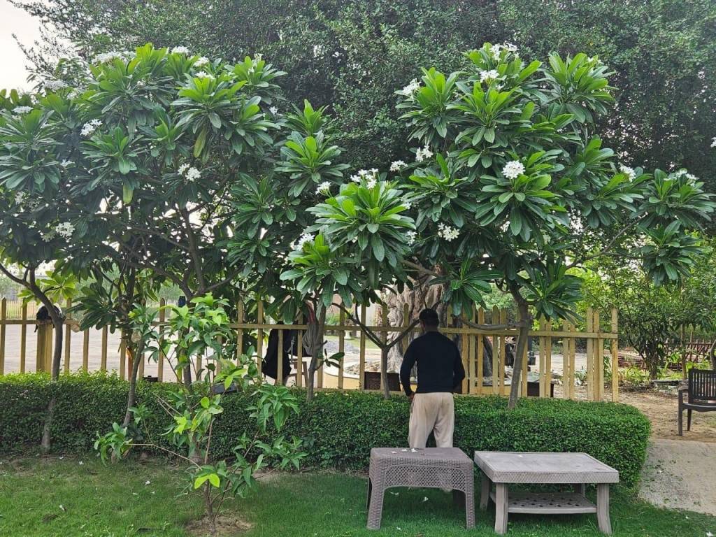  the villagio farmhouse Plot