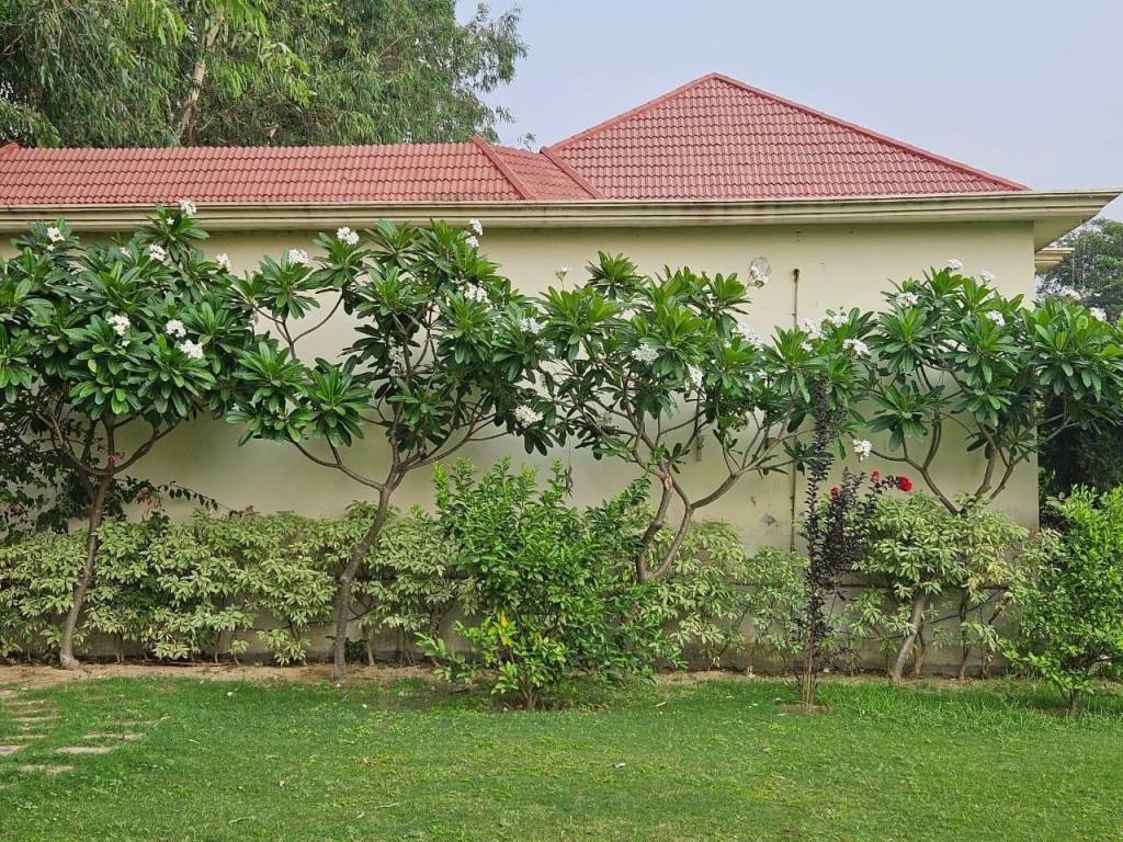  the villagio farmhouse Plot