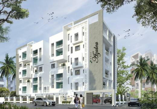 azalea Elevation Elevation