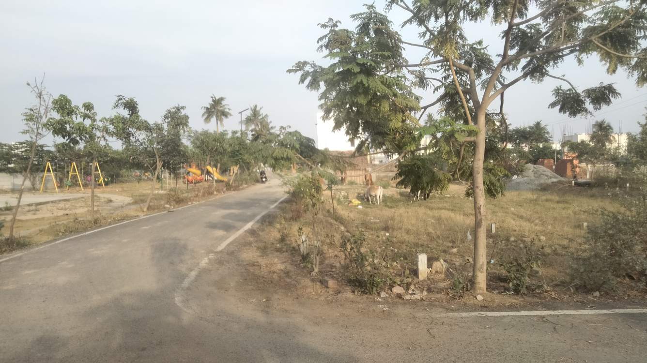  noombal garden Internal Roads