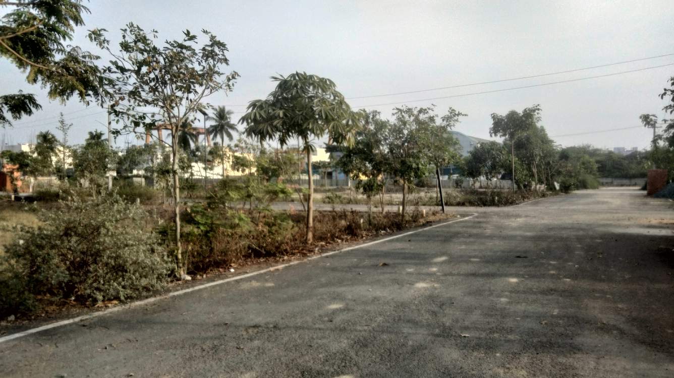  noombal garden Internal Roads