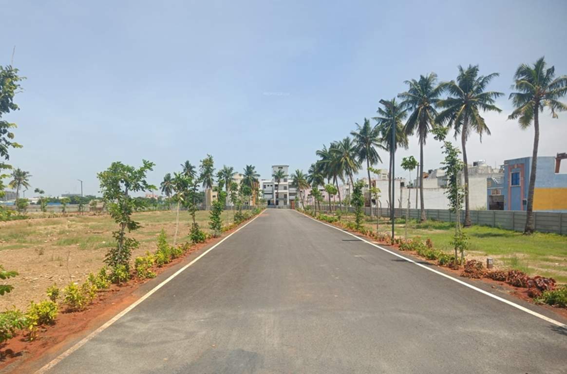  noombal garden Landscape Garden and Tree Planting