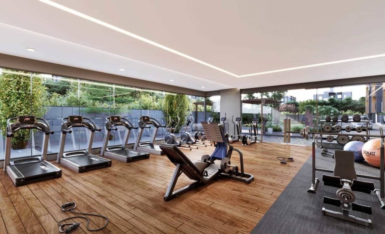  imperia vista Gymnasium