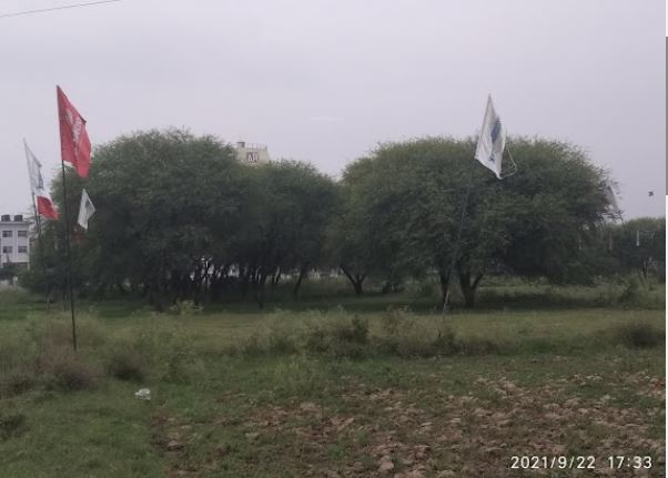 Jubilee City Gardens