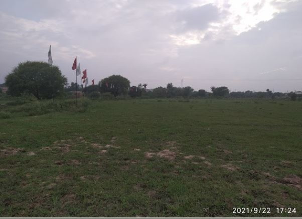 Jubilee City Gardens