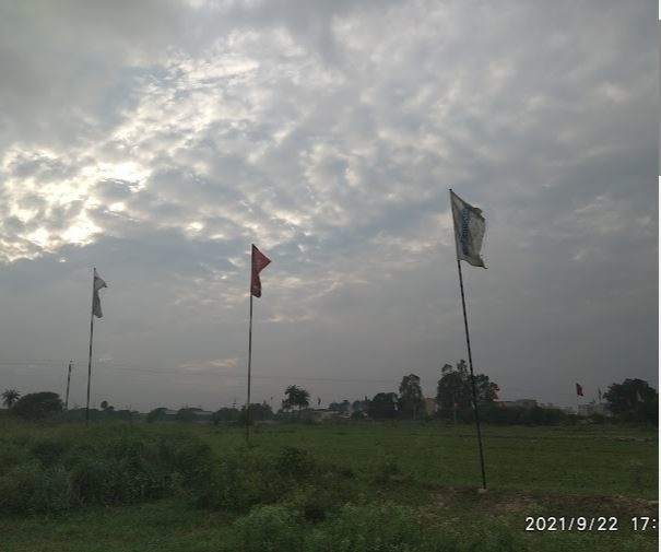 Jubilee City Gardens