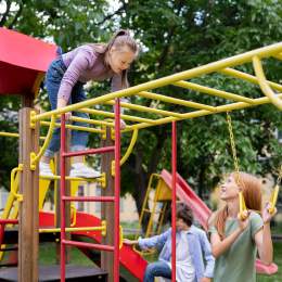  the vaidiki signature Others