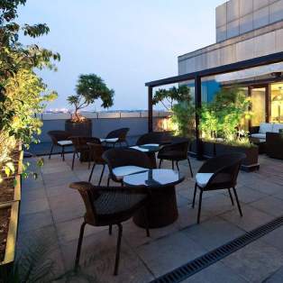  the vaidiki signature Others