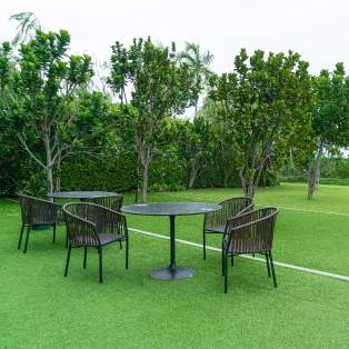  the vaidiki signature Others