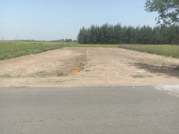  green-villa Elevation