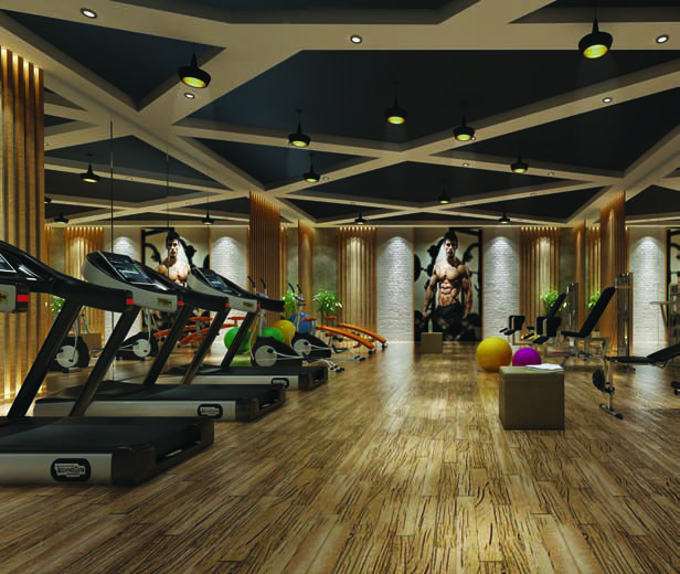  delta luxuria Gymnasium