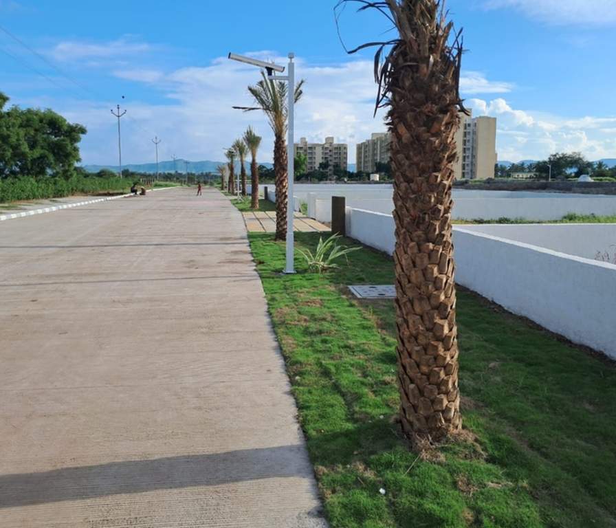  casa angelina Street Lighting