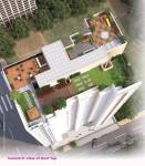 Elevation wisteria Elevation