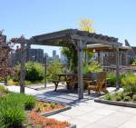 Others wisteria Others