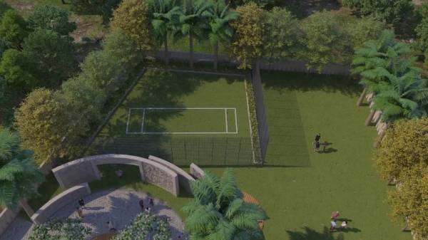  mahavir-spring-daffodils-p3 Others