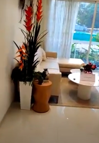  mahavir spring daffodils p3 Living Area