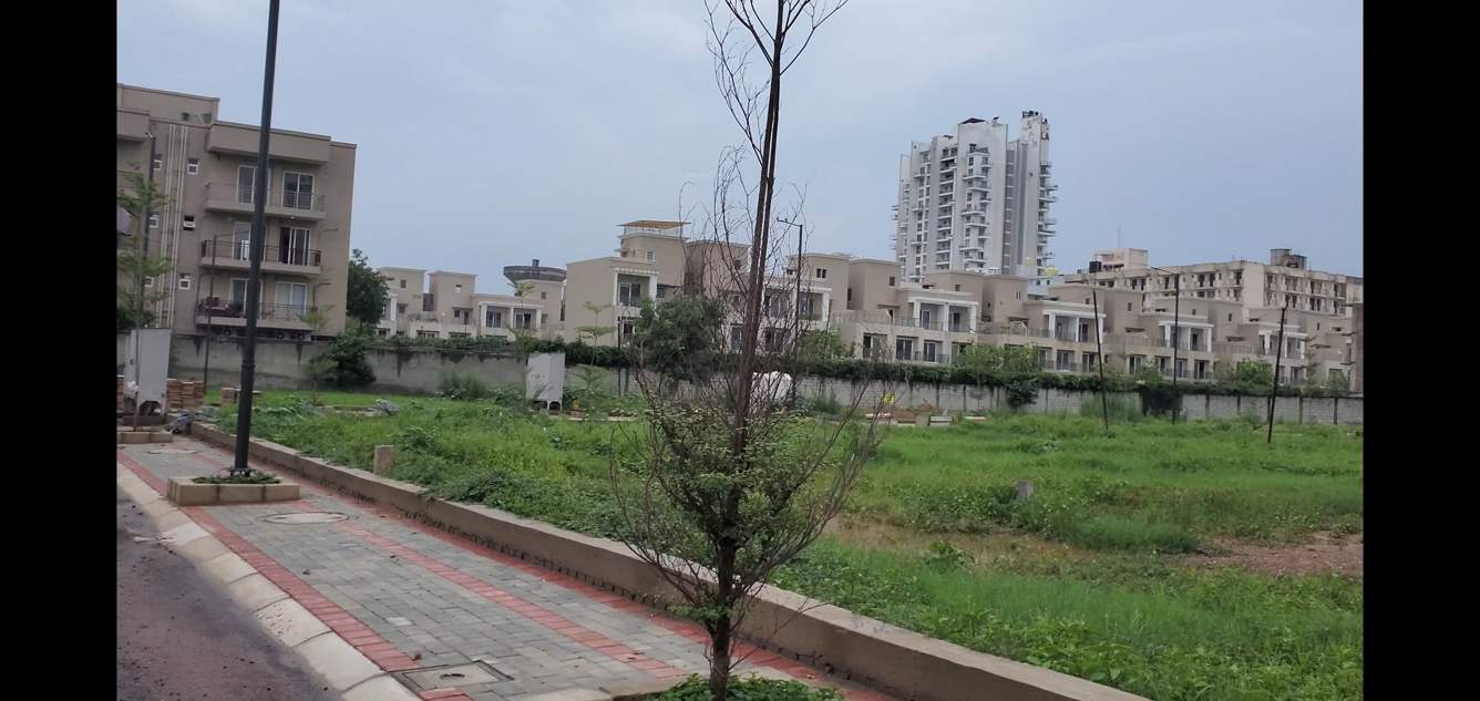  imperial estate Plot