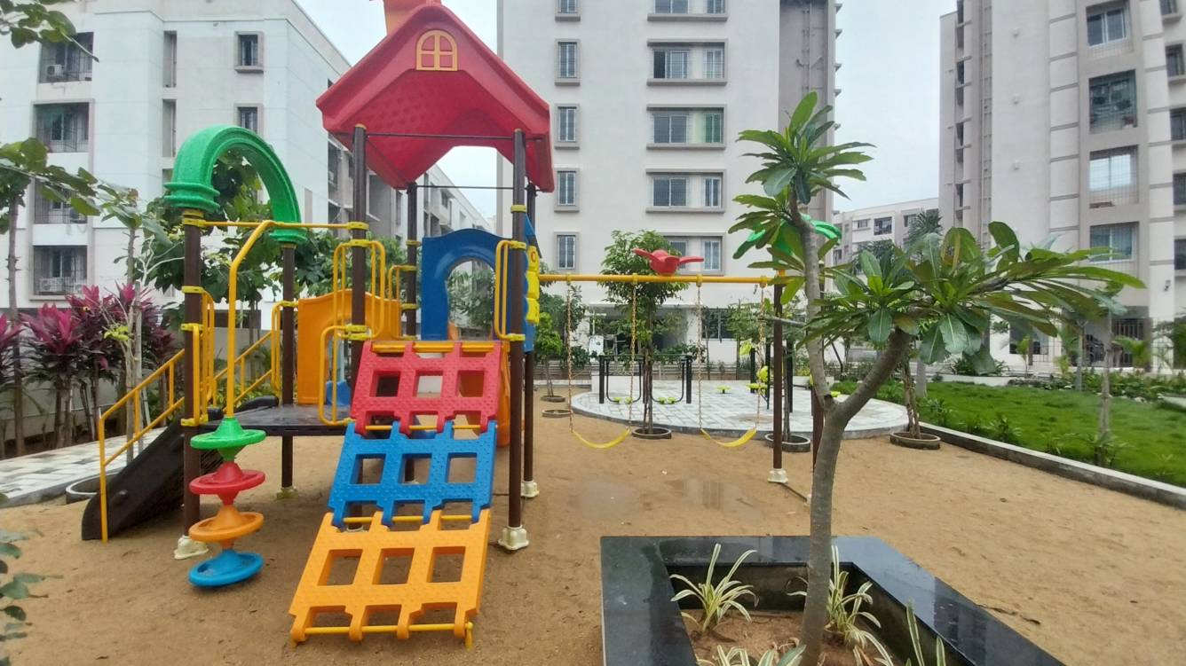 Arboretum Gemini Aster