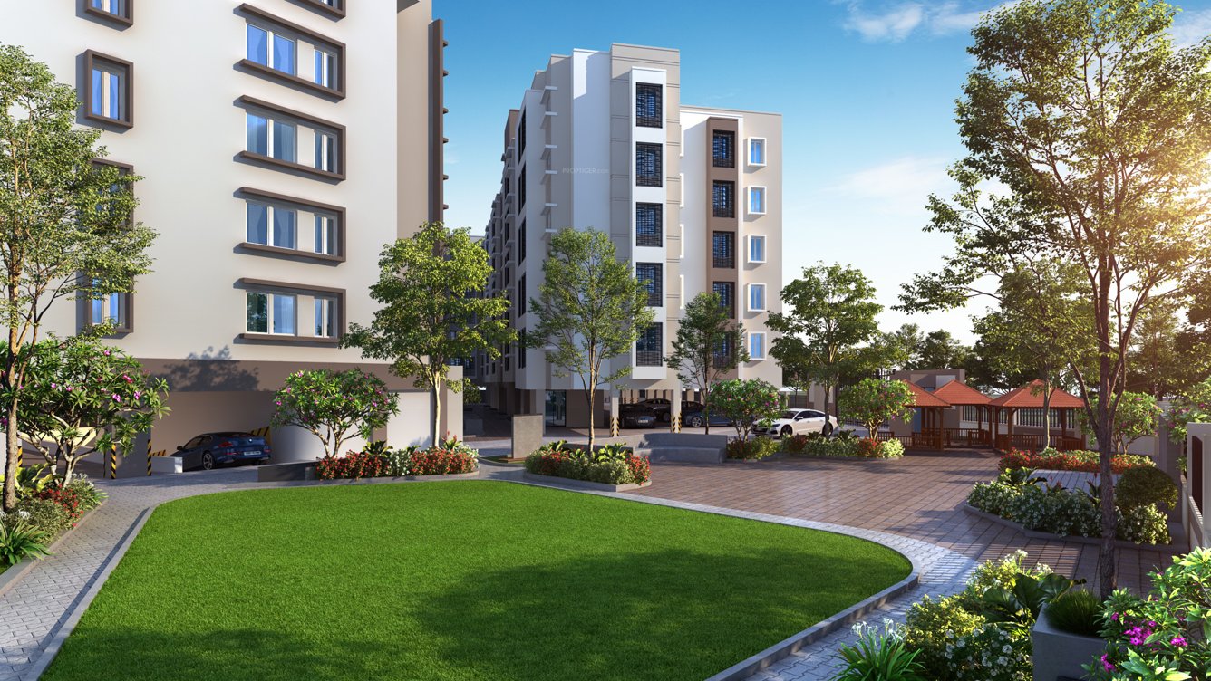  gemini aster Landscaped Gardens