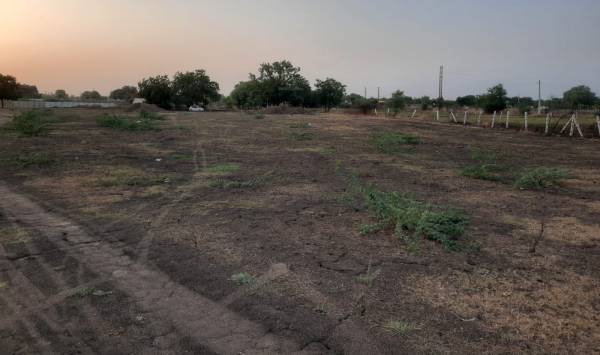  globals-highway-city Elevation