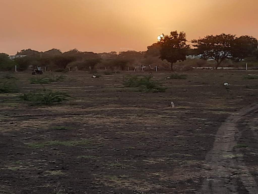  globals highway city Plot