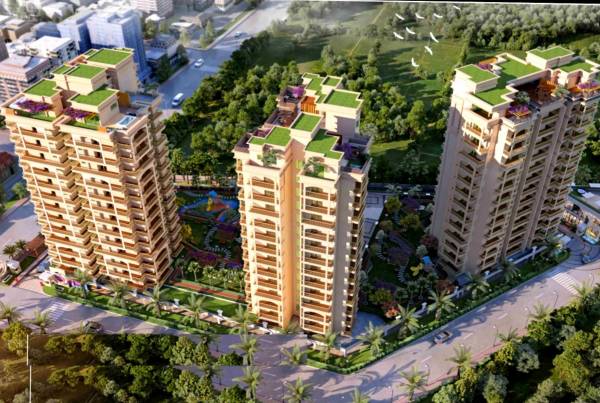  regal-heights Elevation