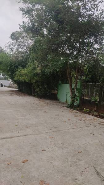  green-valley Internal Roads & Footpaths