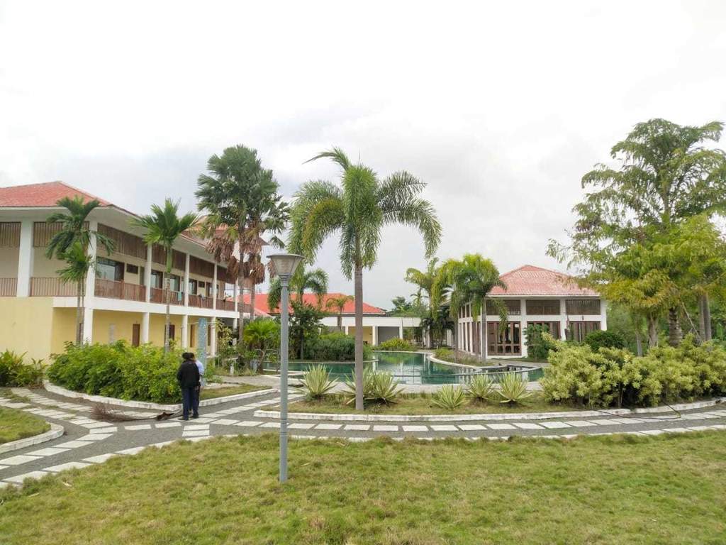  ibis county Landscape Garden and Tree Planting