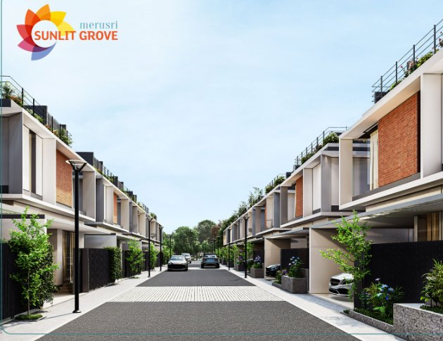  sunlit grove Elevation