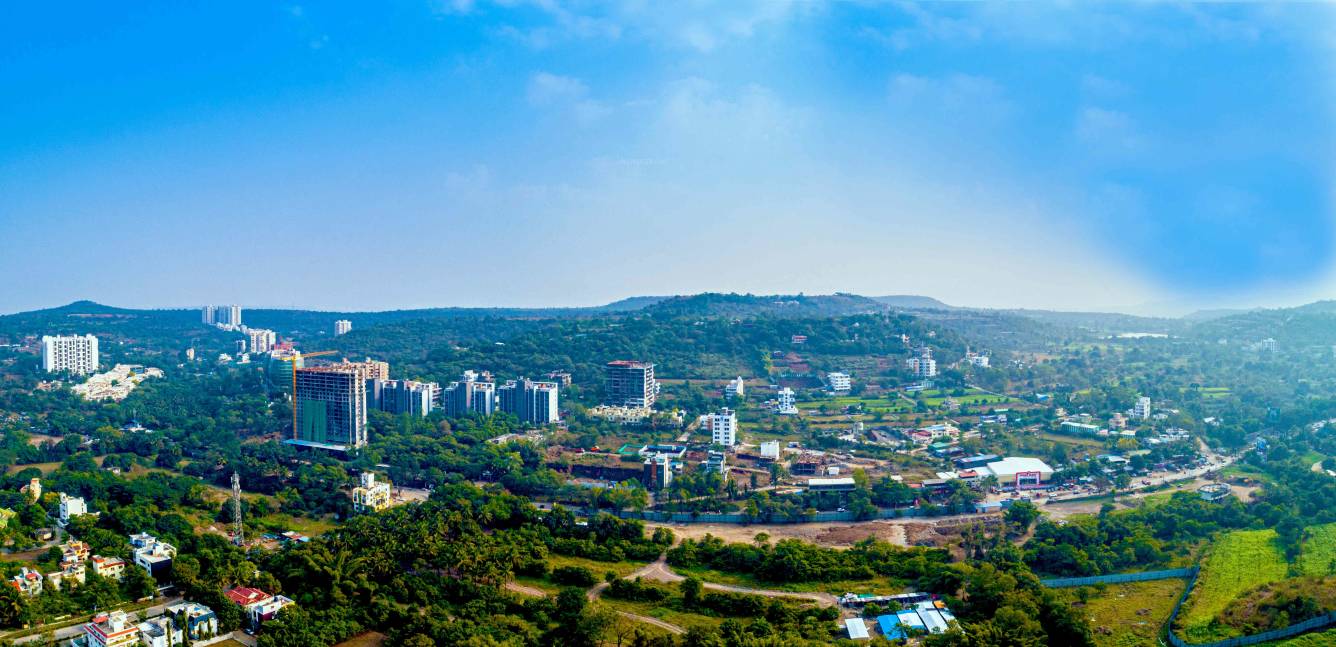  24 stargaze Elevation